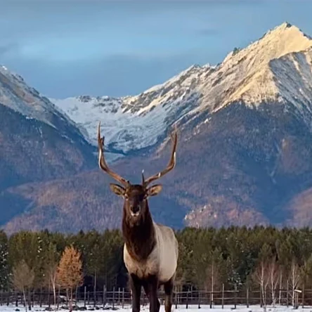 Пакет экскурсий №2