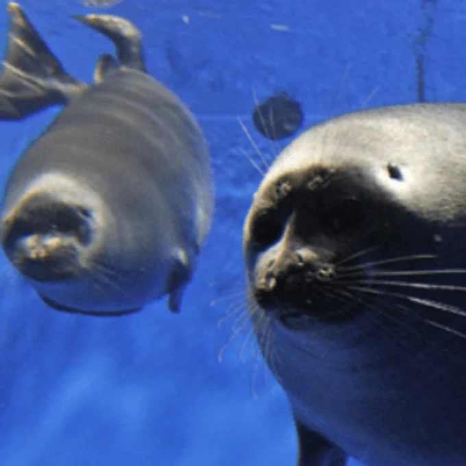 Путешествие Baikal Fantasy!